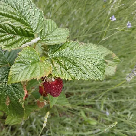 Imagination By Olauda Sa - 3 Bed House With Free Parking * Bristol