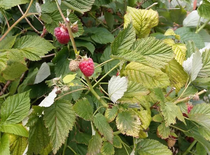 Imagination By Olauda Sa - 3 Bed House With Free Parking 度假居