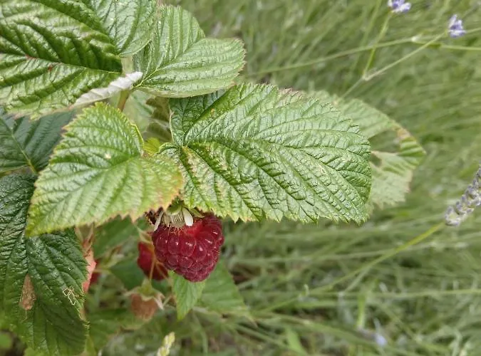 Imagination By Olauda Sa - 3 Bed House With Free Parking * Bristol