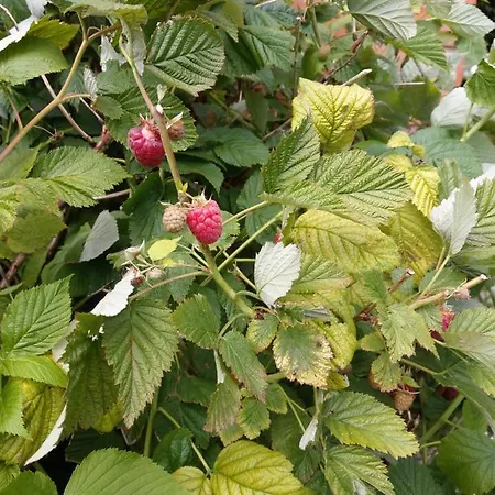 Imagination By Olauda Sa - 3 Bed House With Free Parking Nyaraló